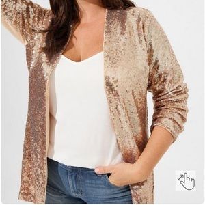 Torrid - Stretch Sequin Mesh Long Line 3rd Piece - Size 4